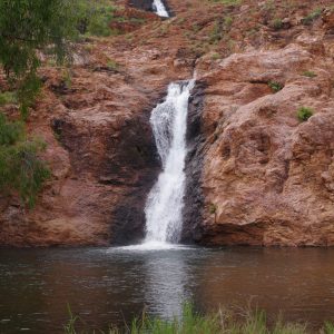 IMGP2188
